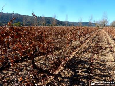 Ribera del Duero,visita enológica-Peñafiel; clubes de senderismo madrid federacion madrileña de m